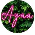 Ayaa ( France )